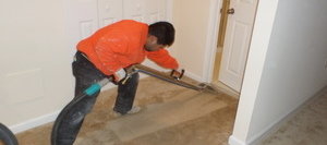 Water Damage Restoration Expert Cleaning Carpet After Flooding